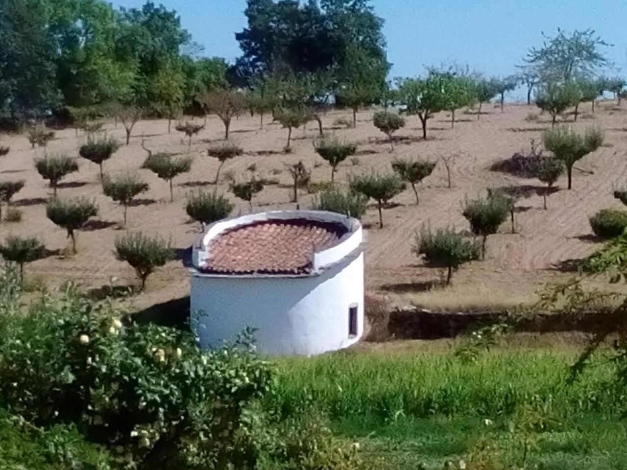 Casa dos Pombais de Caçarelhos Rural Cacarelhos Exterior foto